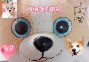 подпишитесь