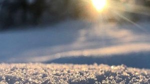 ЛЕВ.ТАРО ПРОГНОЗ НА ФЕВРАЛЬ МЕСЯЦ ДЛЯ ПРЕДСТАВИТЕЛЕЙ ЗНАКА ЗОДИАКА ЛЕВ