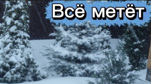 Нас всё заметает. Впереди снова сильные морозы.