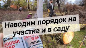 #18 Уход за садом и двором: уборка, обрезка, утилизация