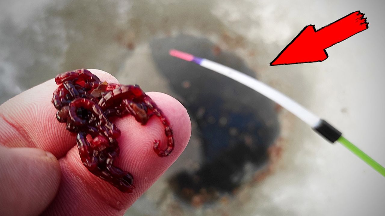 БЫВАЕТ И ТАКОЕ! Разбурил ЯМУ в СТРАШНЫЙ мороз и ПОПАЛ на КРУПНОЕ! Рыбалка 2026 смотреть онлайн