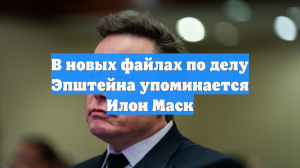 В новых файлах по делу Эпштейна упоминается Илон Маск