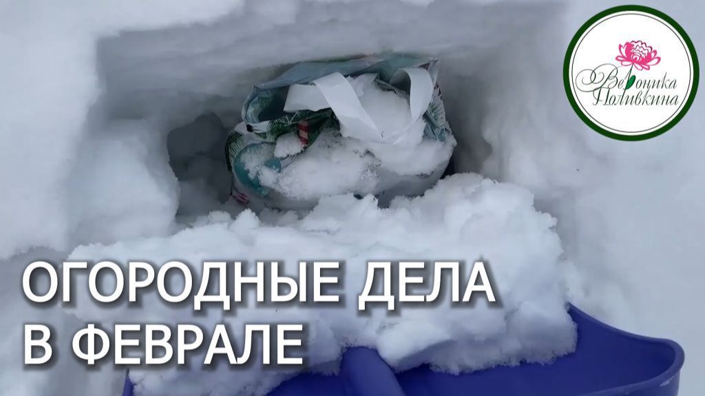 КОМУ НЕ ТЕРПИТСЯ СКОРЕЕ ПРОВЕСТИ ПОСЕВНУЮ смотреть онлайн