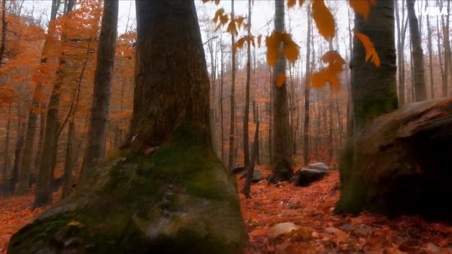 осень 2 смотреть онлайн