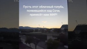 Голубь мира