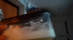 Укладываем реборнов на дневной сон.