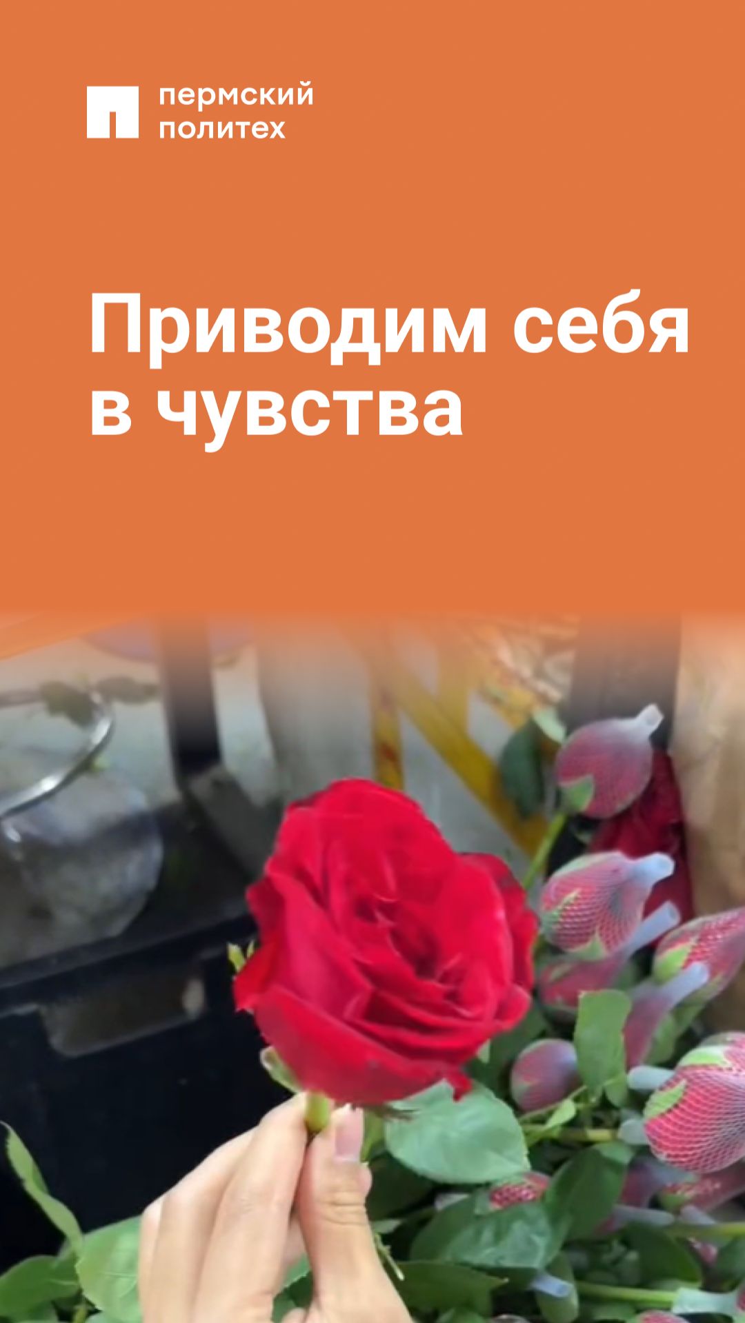 Приводим себя в чувство смотреть онлайн