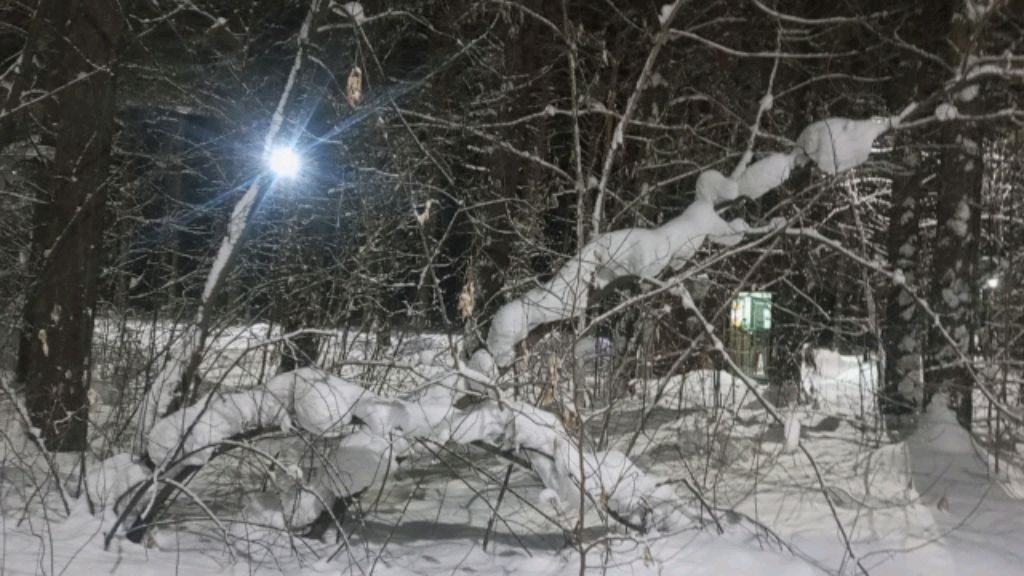 кофеёк с утра и днём смотреть онлайн