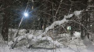 кофеёк с утра и днём