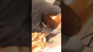 мини влог "в гостях у подруги"