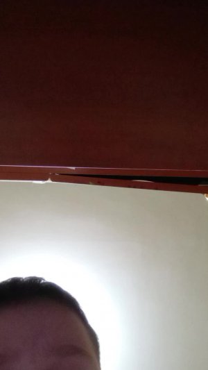 делаю Лунтика икс и остальных из русакена