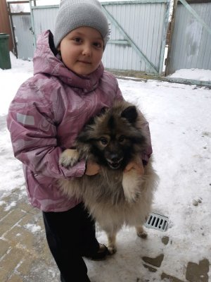 я с собакой барабакой!