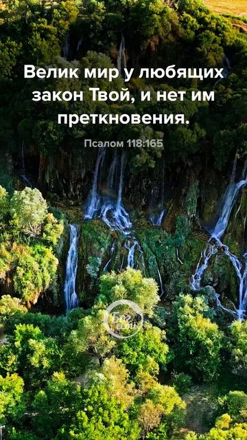 Псалом 118:165 смотреть онлайн