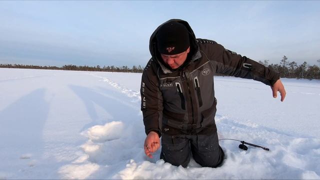 Вот и дождались мы этот жор! смотреть онлайн