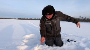 Вот и дождались мы этот жор!