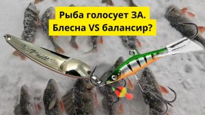 #107 Блесна или балансир? Какая приманка поймает рыбу крупнее?