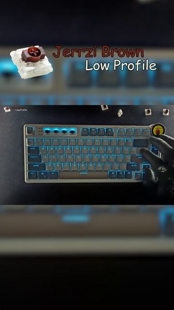 Jerrzi Brown Низкопрофильные свичи