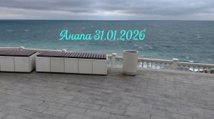 Анапа 31.01.2026