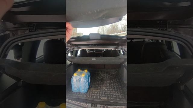 1000237483.mp4 смотреть онлайн