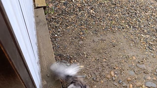 Мы в гости смотреть онлайн