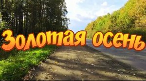 Какая осень, осень желтый лист, дорога в осень, я еду домой, золотая осень
