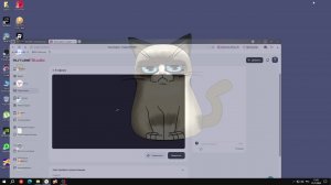 адобе анимейт тест