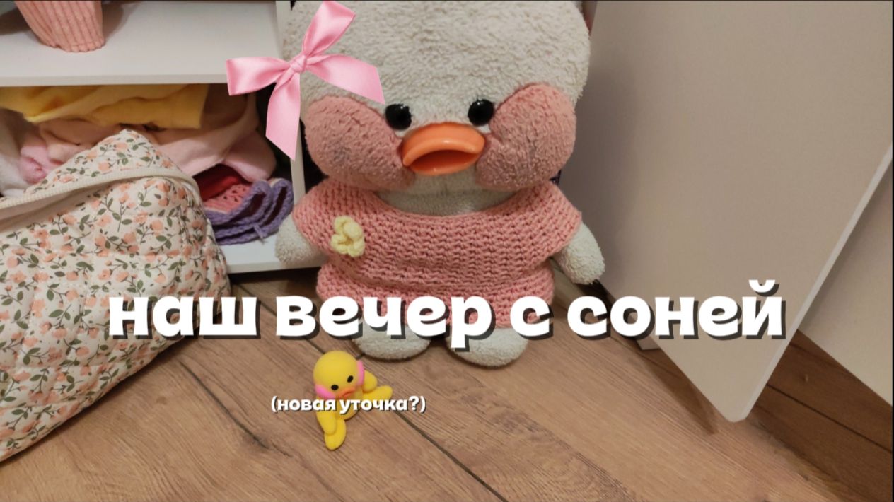 наш ВЕЧЕРНИЙ влог с уточкой Соней смотреть онлайн