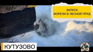 Запуск форели на лесном пруду