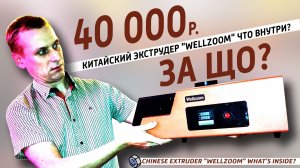 За что такие деньги? Разбор экструдера wellzoom, что внутри