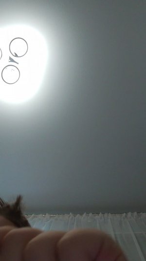 обгоняем катю