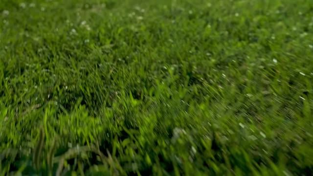 Indila - Mini world (Fanmade) 4K