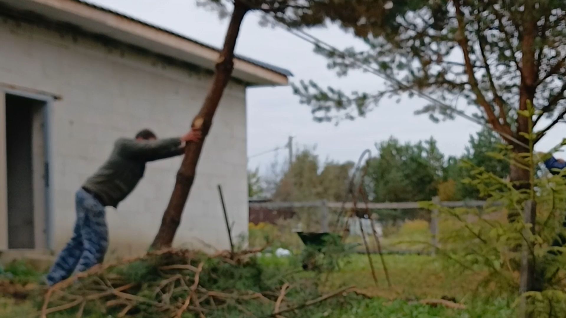 Расчищаем участок под веранду. Минус 2 сосны, плюс три ёлки