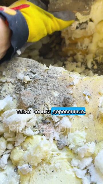 Мусор в проеме