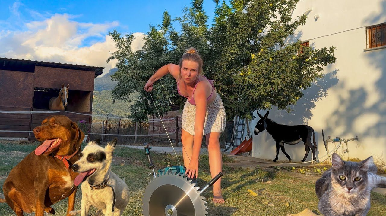 НЕВЫНОСИМЫЙ СЕНОКОС! Выгнала всех животных на улицу! Осы захватили мой дом! Борьба с вредителями смотреть онлайн