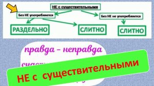 Русский язык, 5 класс. НЕ с существительными