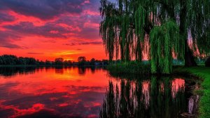 Руслан Алехно - Женщина любимая моя (cover)