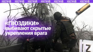 «Гвоздики» выносят замаскированные опорники ВСУ в лесополосах Запорожской области