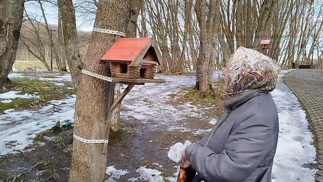 2026_01_30_Зимняя оттепель на Комсомольском пруду смотреть онлайн