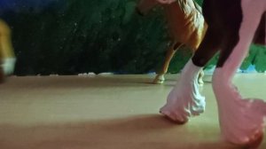 мини фильм " потерянный жеребёнок"  ( юмористическое видео) ( простите за погрешности)🩷🥰🐴🐎❤️🔥