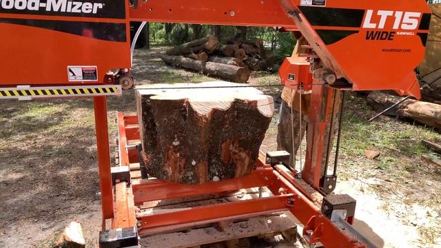 Торцевые спилы пня . смотреть онлайн