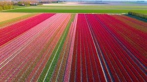 20221029 - Amsterdam 8K Video Ultra HD 240 FPS