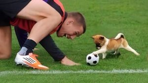 Я тренировался год, а мой пёс побил мой рекорд за 5 минут 😭