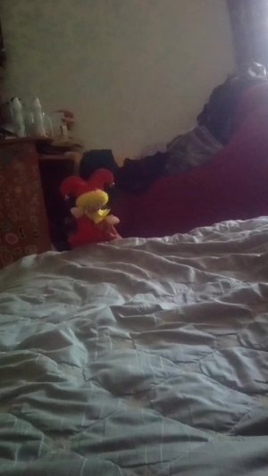 Вопросы петрушки