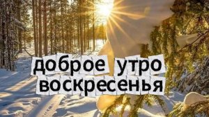 доброе утро воскресенья видеооткрытки ☀️