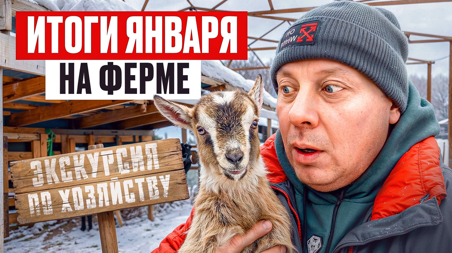 КАК МЫ ПЕРЕЖИЛИ ЯНВАРЬ? ВСЁ ИЗМЕНИЛОСЬ! Большой обзор фермы: ягнята, перестройка сарая, новые жильцы смотреть онлайн