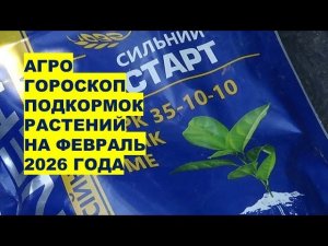 Февраль 2026: Подкормки Растений по Лунному Календарю?!