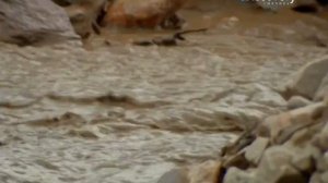 Золотая лихорадка 2 сезон 10 серия (реалити-шоу, 2012)