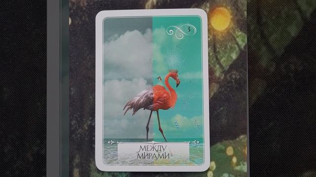 31 Января 2026 Мудрость Оракула 🪷 смотреть онлайн