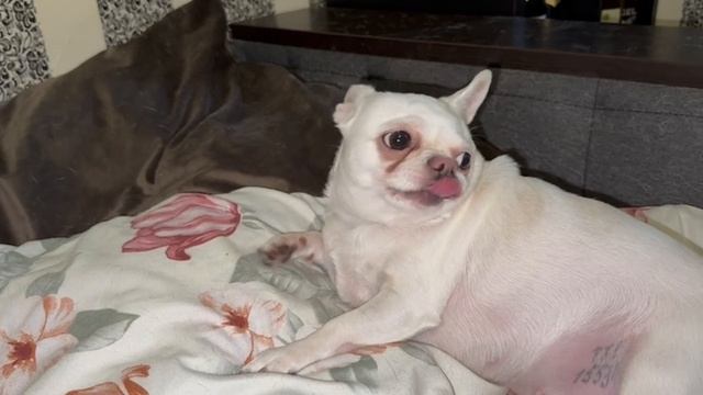 Доброго всем утречка и веселого начала дня. смотреть онлайн