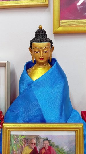 Шива лобсам